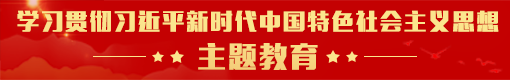 學(xué)習(xí)貫徹習(xí)近平新時(shí)代中國(guó)特色社會(huì)主義思想主題教育